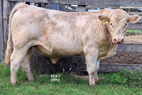 Bull VC4-7 For Sale
