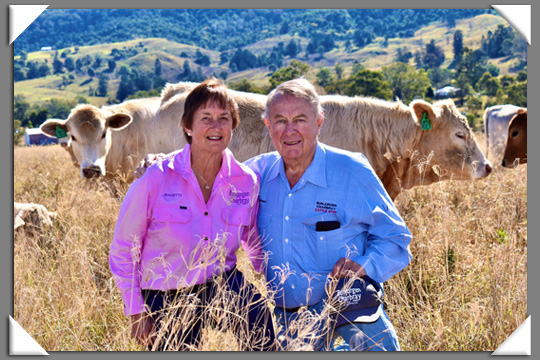 Graham and Jeanette Neilsen of Charbray Cattle